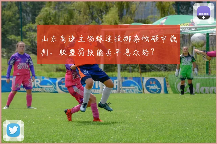 山东高速主场球迷投掷杂物砸中裁判，联盟罚款能否平息众怒？